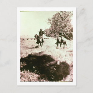 American Bison Hunters (bild b/w) Vykort