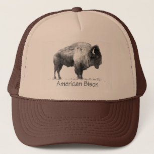 American Bison Keps
