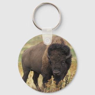 American Bison Keychain Nyckelring