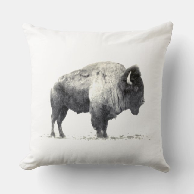 American Bison Kudde (Framsida)