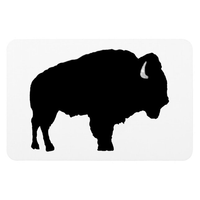 American Bison Magnet (Horisontell)