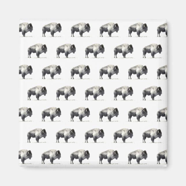 American Bison Magnet (Framsidan)