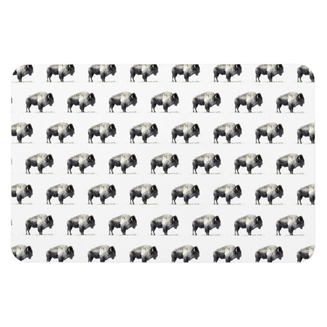 American Bison Magnet (Horisontell)