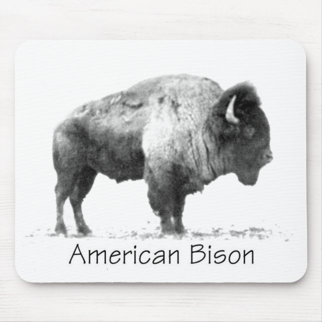 American Bison Musmatta (Framsidan)