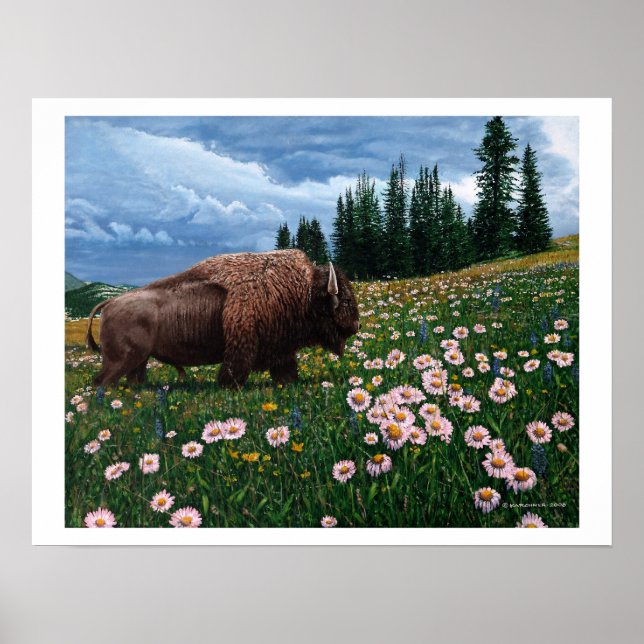 American Bison - "No Time for Flowers" Poster (Framsidan)