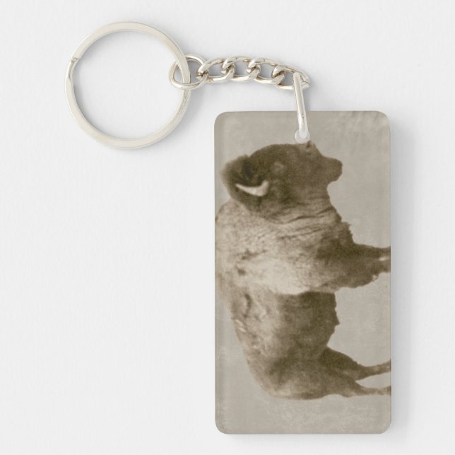 American Bison Nyckelring (Framsidan)