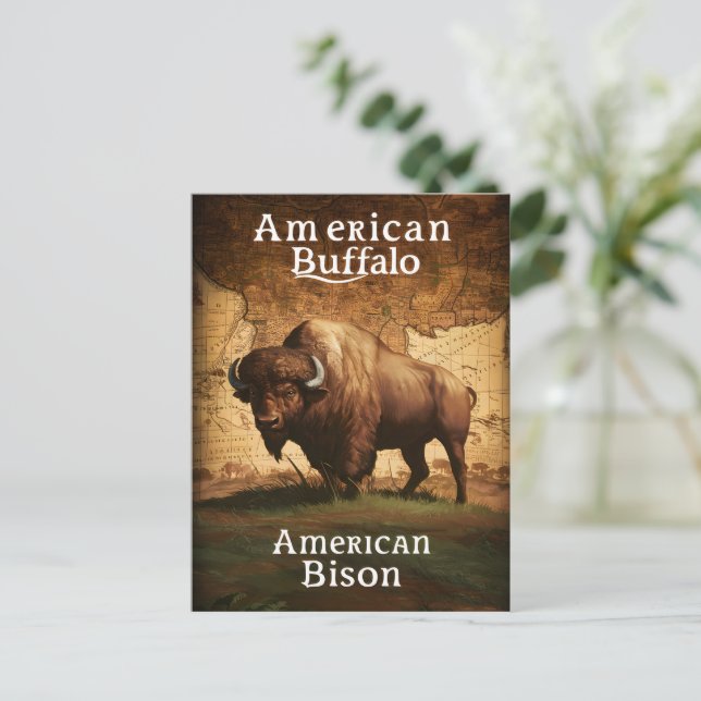 American Bison på Karta Vykort (Stående Fram)