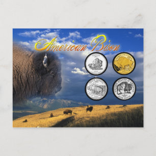 American Bison på mynt Vykort