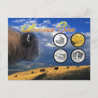 American Bison på mynt Vykort
