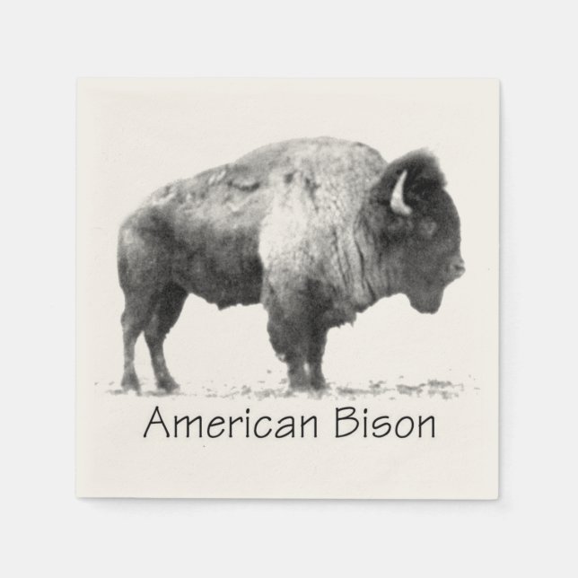 American Bison Pappersservett (Framsidan)
