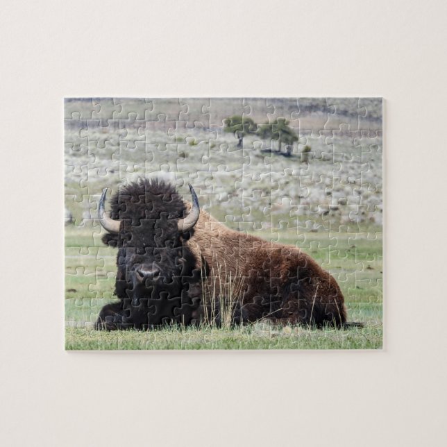 American Bison Puzzle Pussel (Horisontell)