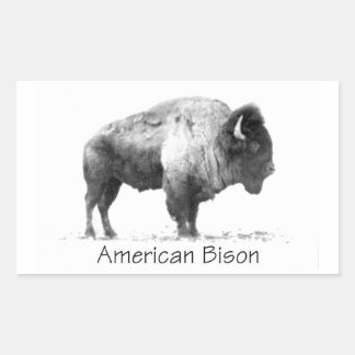 American Bison Rektangulärt Klistermärke