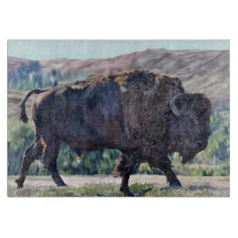 American Bison Roaming in Grassland Setting