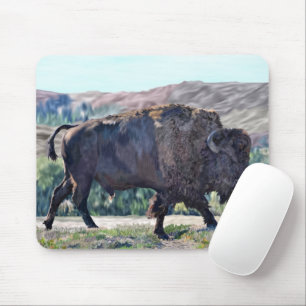 American Bison Roaming in Grassland Setting Musmatta