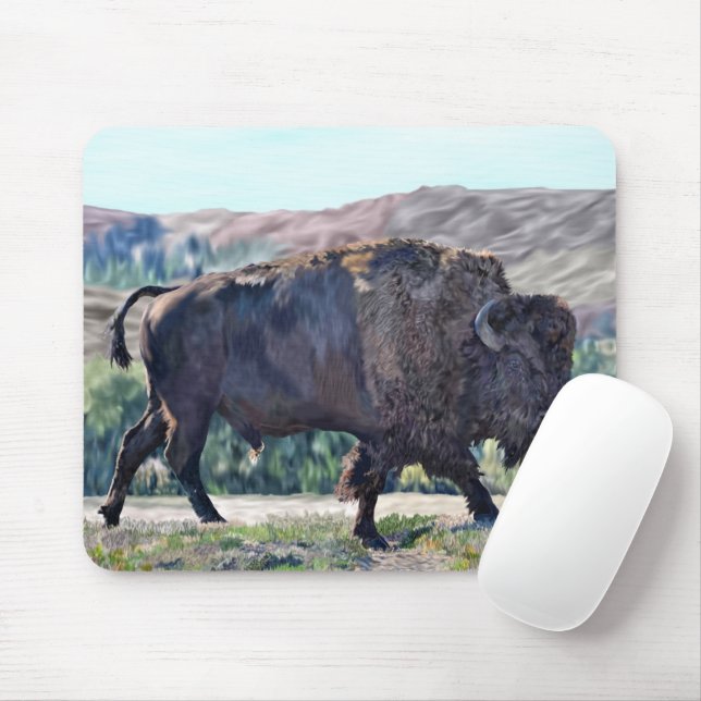 American Bison Roaming in Grassland Setting Musmatta (Med mus)