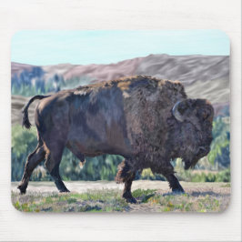 American Bison Roaming in Grassland Setting Musmatta