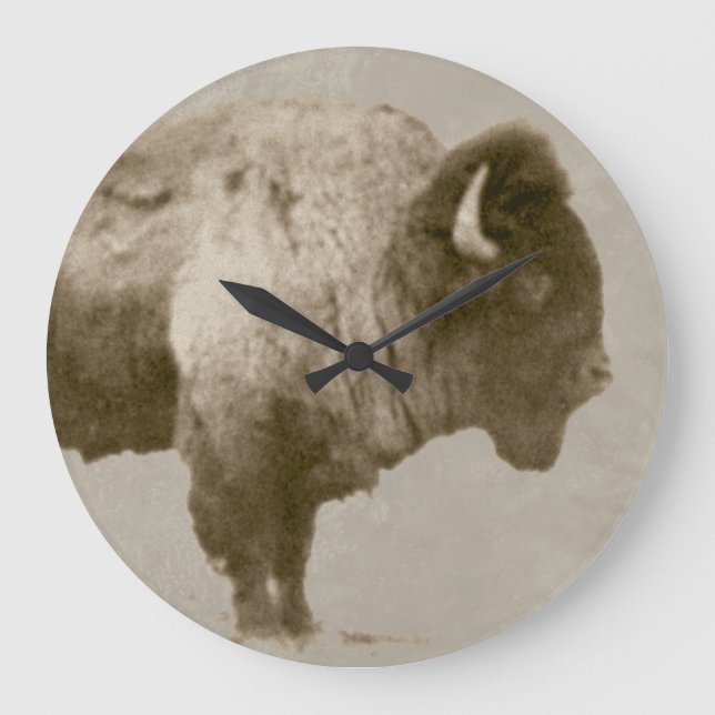 American Bison Stor Klocka (Framsida)