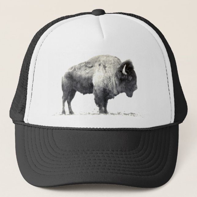 American Bison Truckerkeps (Framsida)