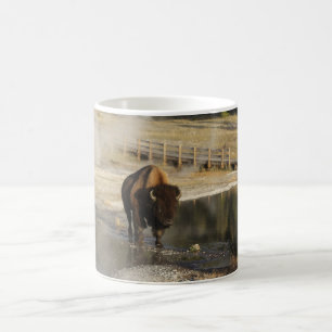 American Bison Yellowstone Wildlife Photography Kaffemugg