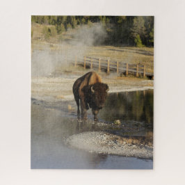 American Bison Yellowstone Wildlife Photography Pussel