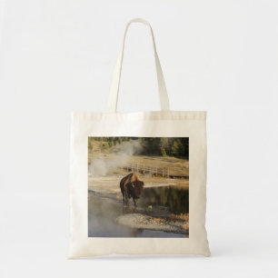 American Bison Yellowstone Wildlife Photography Tygkasse