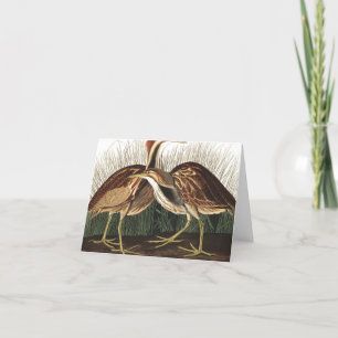 American Bittern av John James Audubon Tack Kort