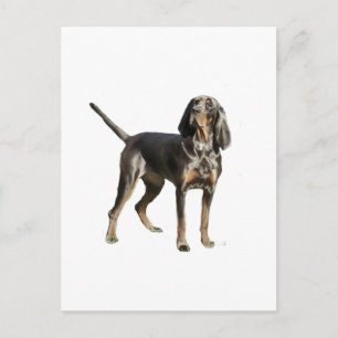 American Black and Tan Coon Hound Vykort