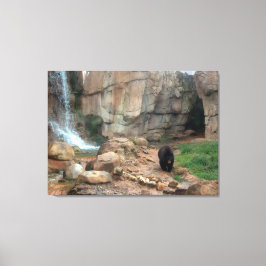 American Black Bear Canvastryck