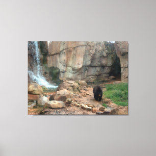 American Black Bear Canvastryck