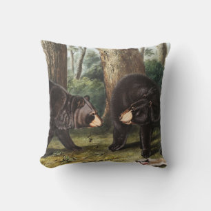 American Black Bear Ursus Americanus Illustration Kudde