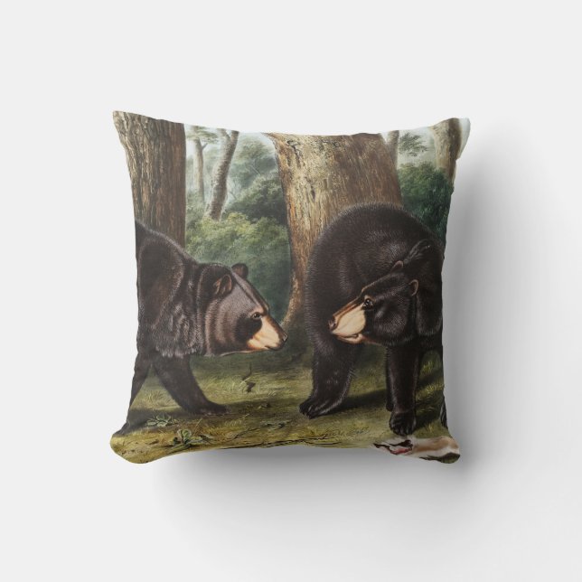 American Black Bear Ursus Americanus Illustration Kudde (Framsida)