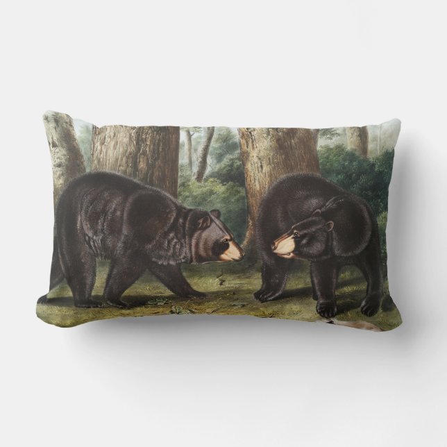 American Black Bear Ursus Americanus Illustration Lumbarkudde (Framsida)
