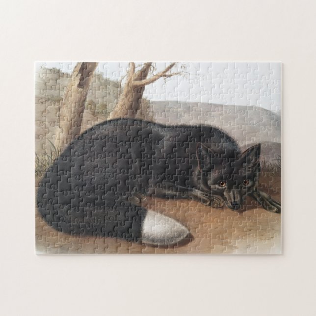 American Black eller Silver Fox (Vulpes fulvus) Pussel (Horisontell)