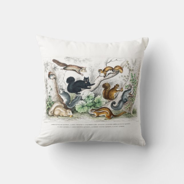 American Black Squirrel, Ariel Petaurus, ekorre Kudde (Framsida)