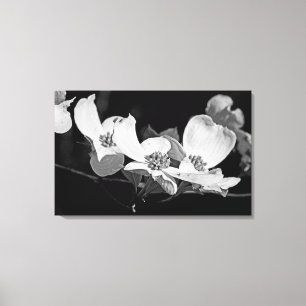 American Blommar Dogwood Blommars Black & White Canvastryck