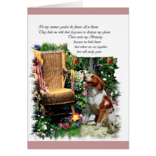 American Brittany Spain Art Gifts Hälsningskort