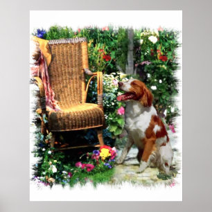 American Brittany Spain Art Print Poster