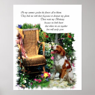 American Brittany Spain Art Print Poster
