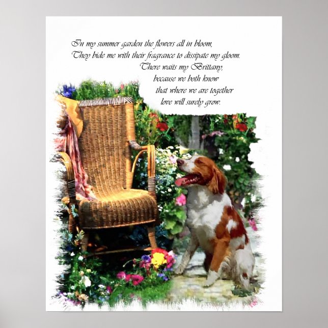 American Brittany Spain Art Print Poster (Framsidan)