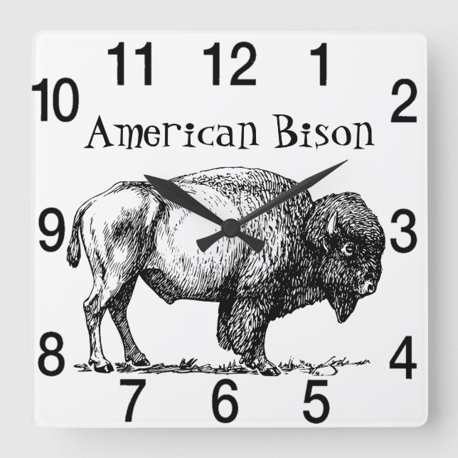 American Buffalo Bison Fyrkantig Klocka (Framsida)