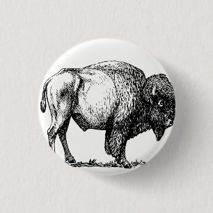 American Buffalo Bison Knapp