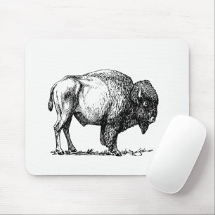 American Buffalo Bison Musmatta