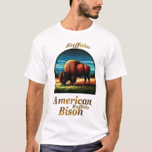 American Buffalo Bison