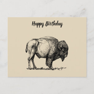 American Buffalo Bison Vykort