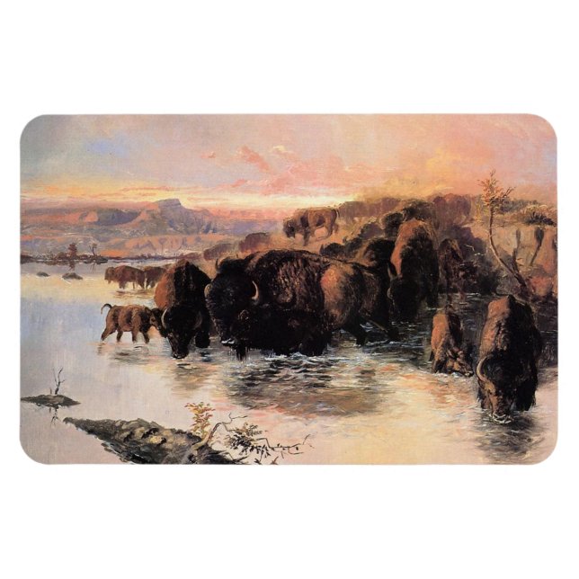 American Buffalo Herd Magnet (Horisontell)