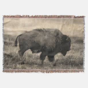 American Buffalo - Plains Bison Mysfilt