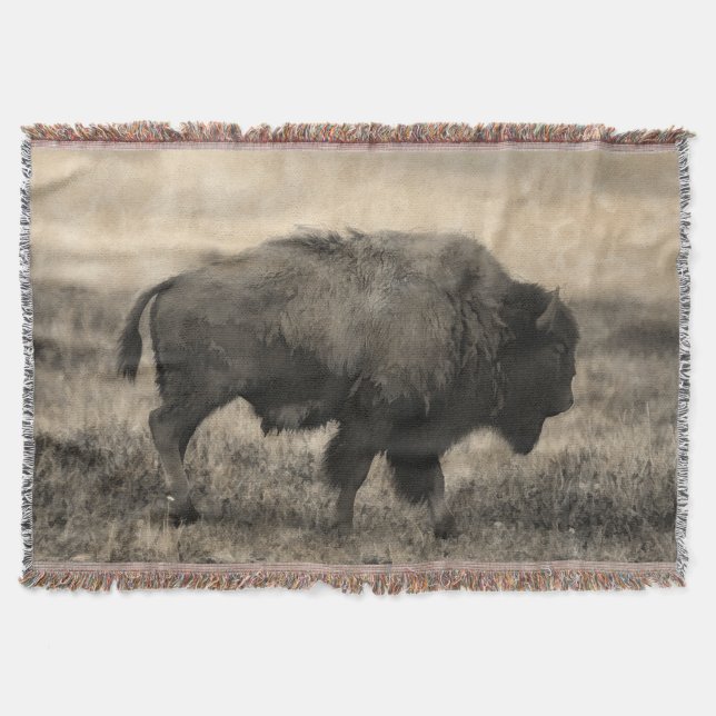 American Buffalo - Plains Bison Mysfilt (Framsidan)