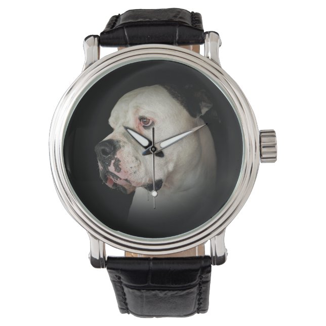 American Bull Dog Porträtt Armbandsur (Framsida)