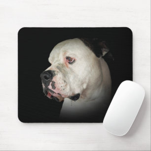 American Bull Dog Porträtt Musmatta