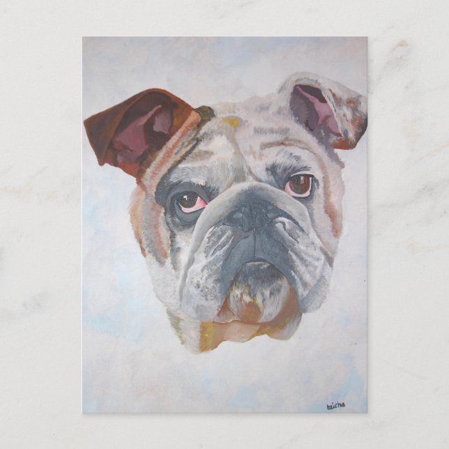American Bulldog Artistic Pet Porträtt Vykort (Framsida)